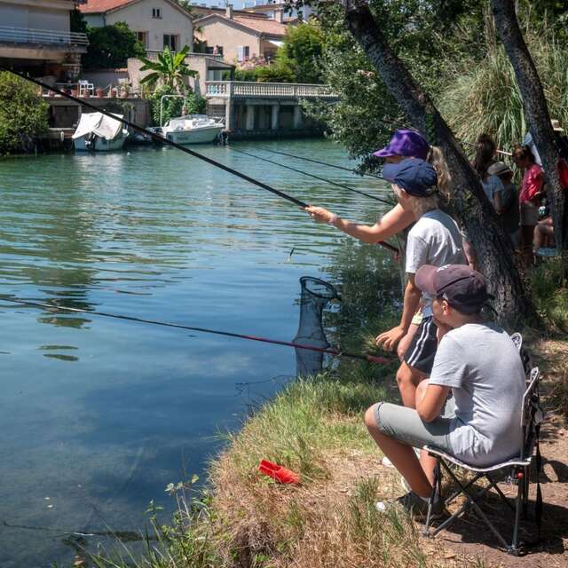 Animation parc naturel "Le cycle de vie de l’anguille"