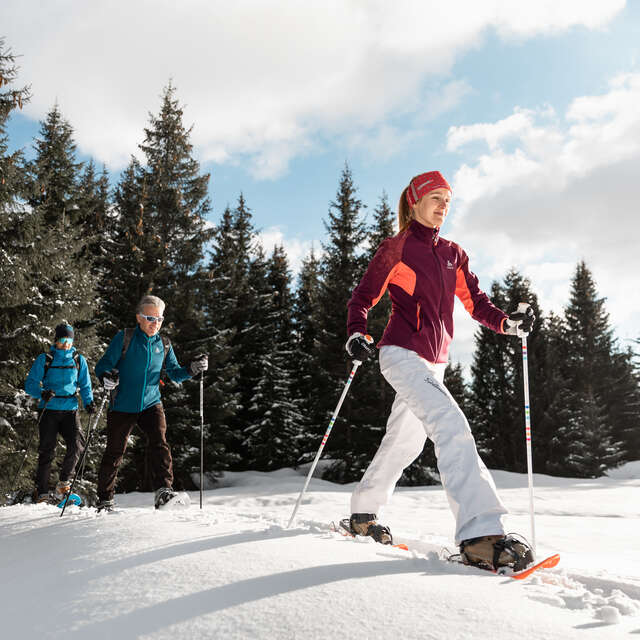 Snowshoe trail 31 - Les Frasses