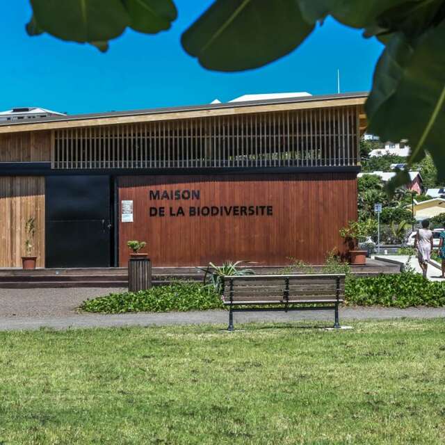 Maison de la Biodiversité - Atelier d'observation botanique