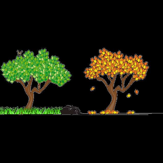 Prendre soin de soi au fil des saisons - atelier