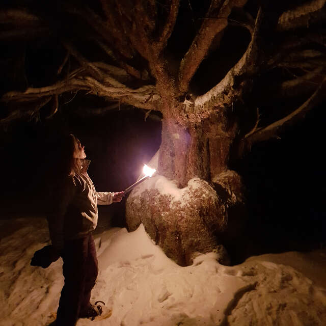 Diner soirée insolite