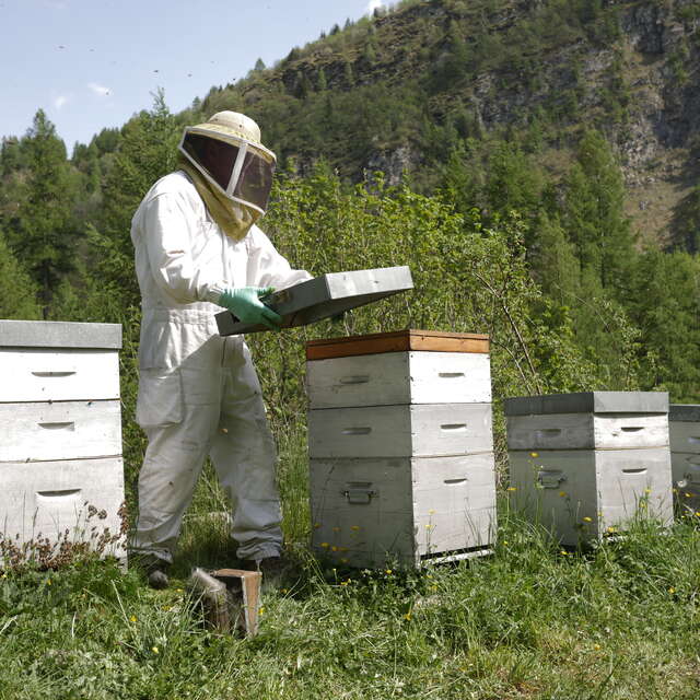 Luc's bees - the beekeeper of Orcières