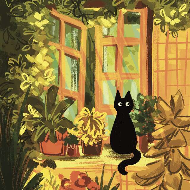 Là où rêvent les couleurs