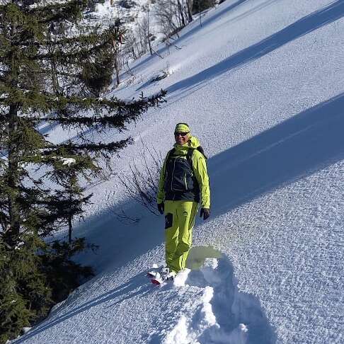 Alp'In