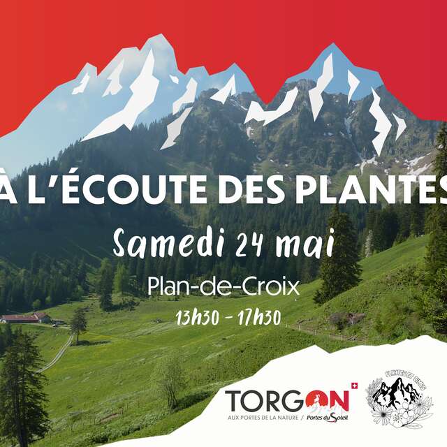 Fête de la Nature 2025 - À l'écoute des plantes