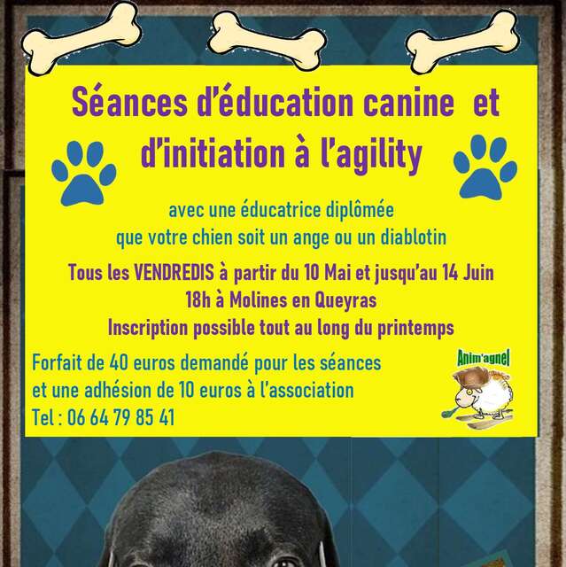 Atelier éducation canine