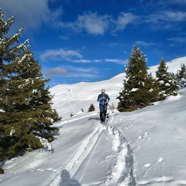 Découverte Nature en raquettes