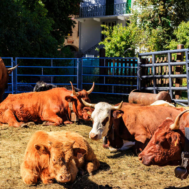 Foire Agricole de la Saint Mathieu