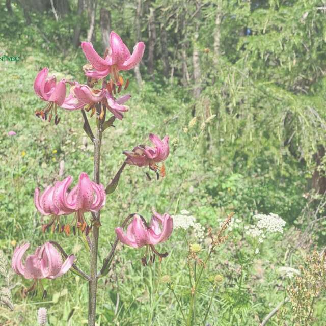 Les apéros de la Réserve au gîte de la Monta
