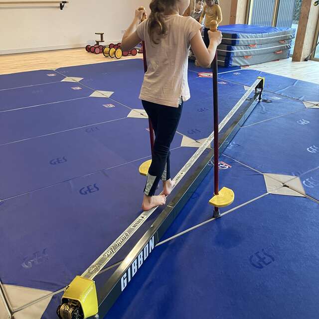 Stage cirque 4-6 ans les matinées