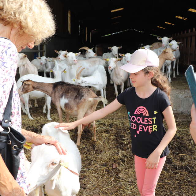 Visite-dégustation chez "Chèvres et saveurs"