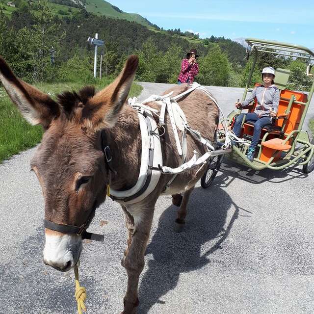 Randonnée en randoline