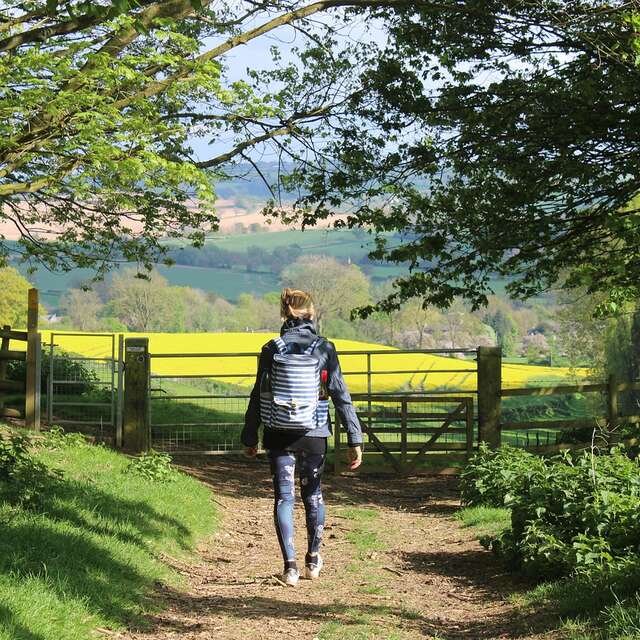 Marche du Sou des Ecoles