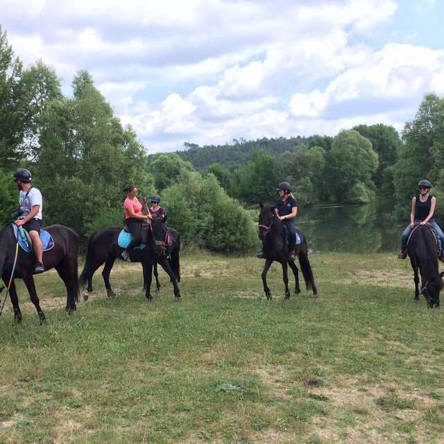 Haras des Villards: Journée détente à cheval/poney