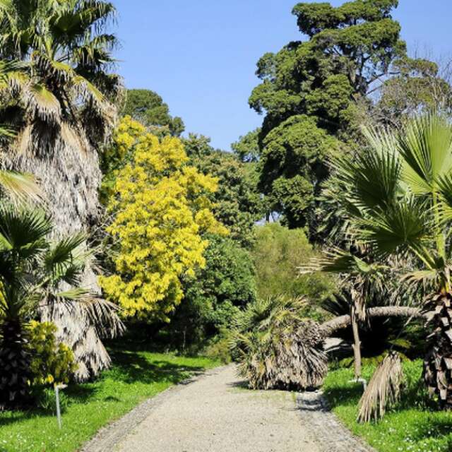 Jardin botanique Villa Thuret