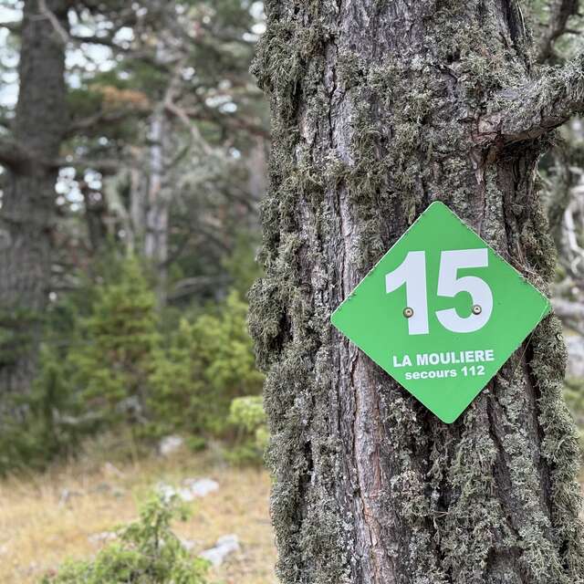 Circuit VTT N°50 La Pitchoun