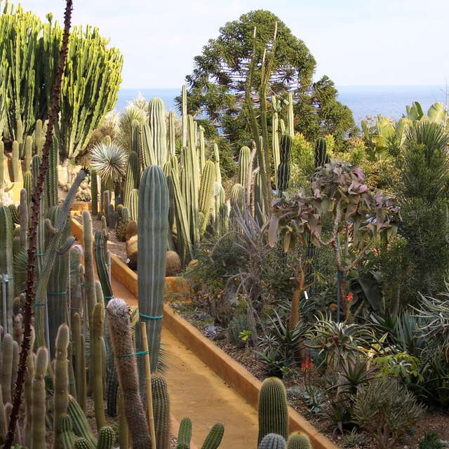 Jardin exotique Pallanca