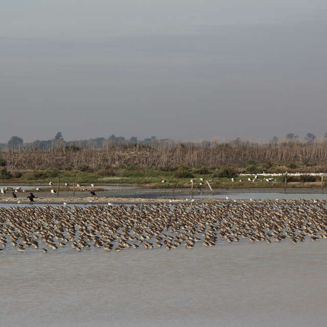 la Réserve Naturelle en famille