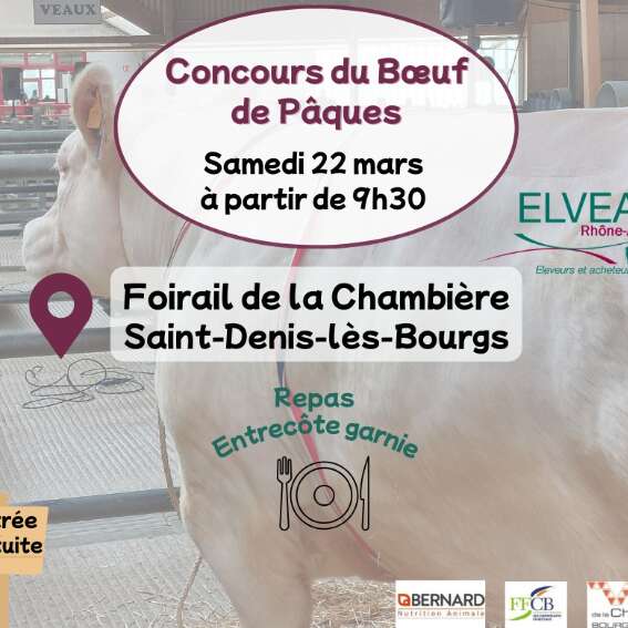 Concours du bœuf de Pâques