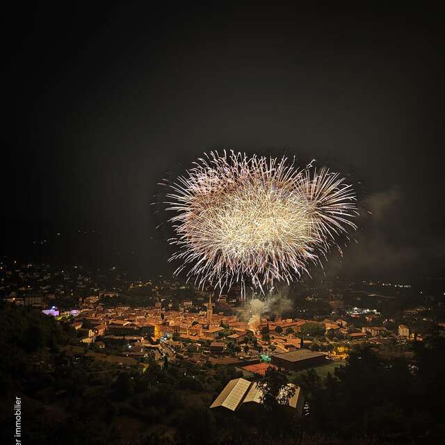 Fête nationale et feu d'artifice
