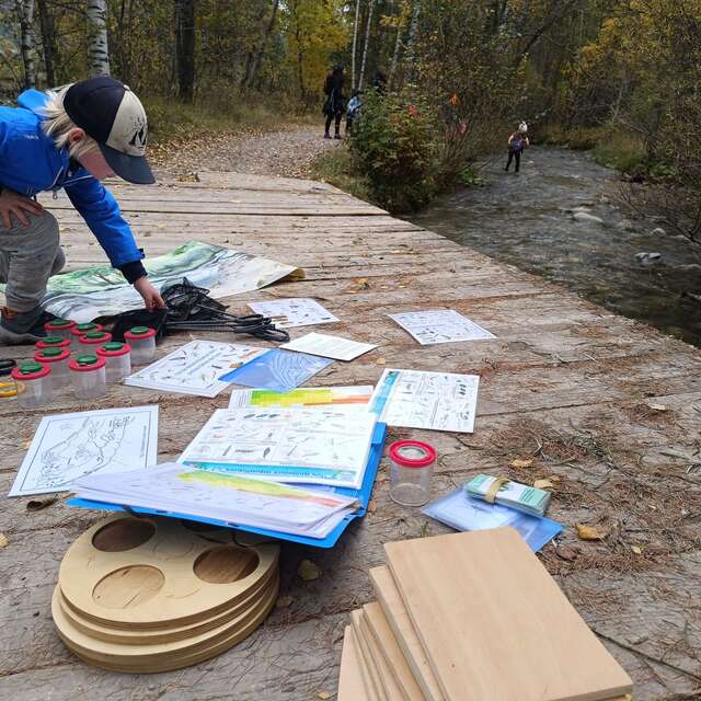 Activité naturaliste : A vos épuisettes