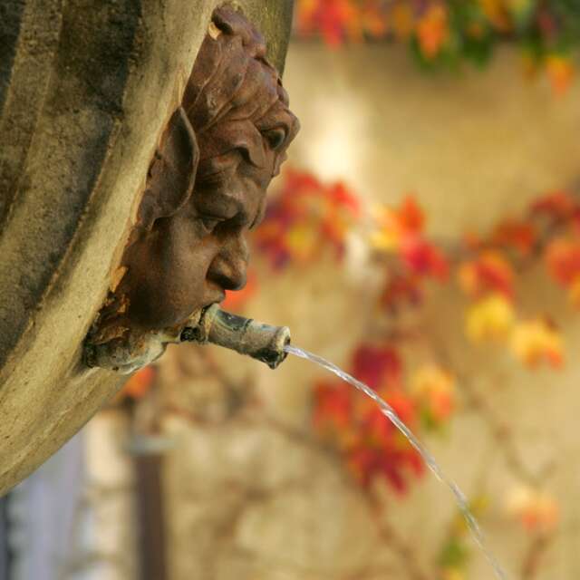 Simon Porcher's conference 'Le juste prix de l'eau!' - Rendez-vous du Parc 2026