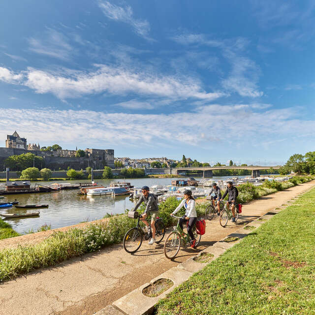 El bucle de Anjou de la ruta ciclista Loire à Vélo - sin el transbordador de Chevalerie