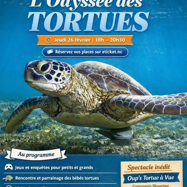 Nocturne tortues marins à l'aquarium