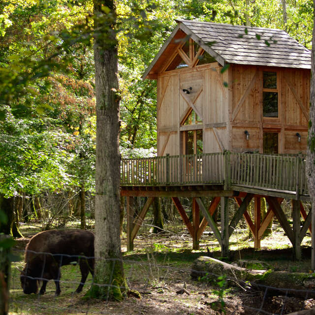 Hochsitzhütte Ranch - DDLD