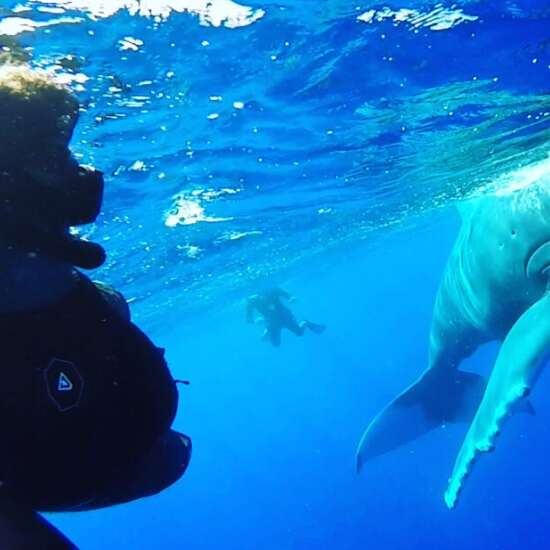 Corallina Tours