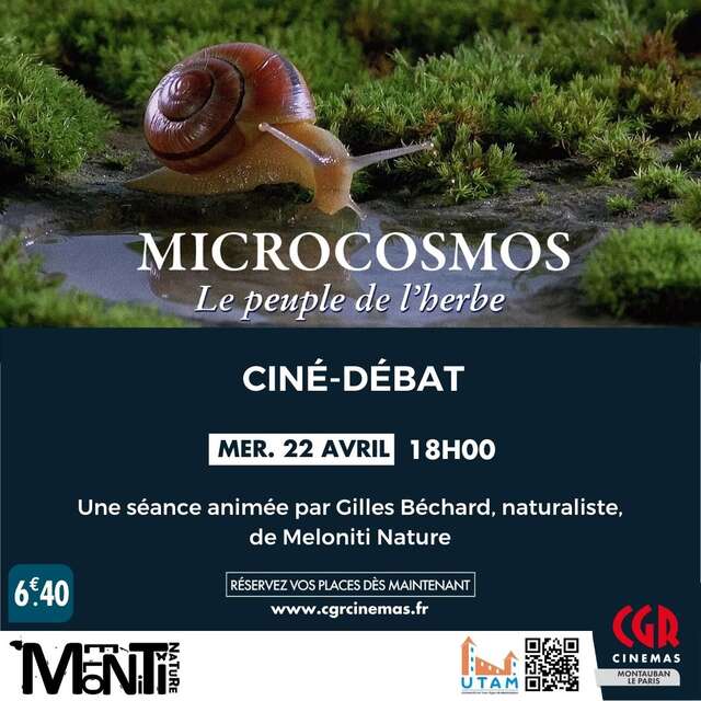 Ciné | Débat - Microcosmos : Le peuple de l'herbe