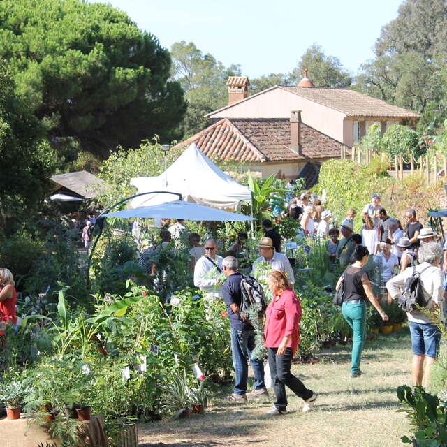 Gondwana, la Fête des Plantes méditerranéennes