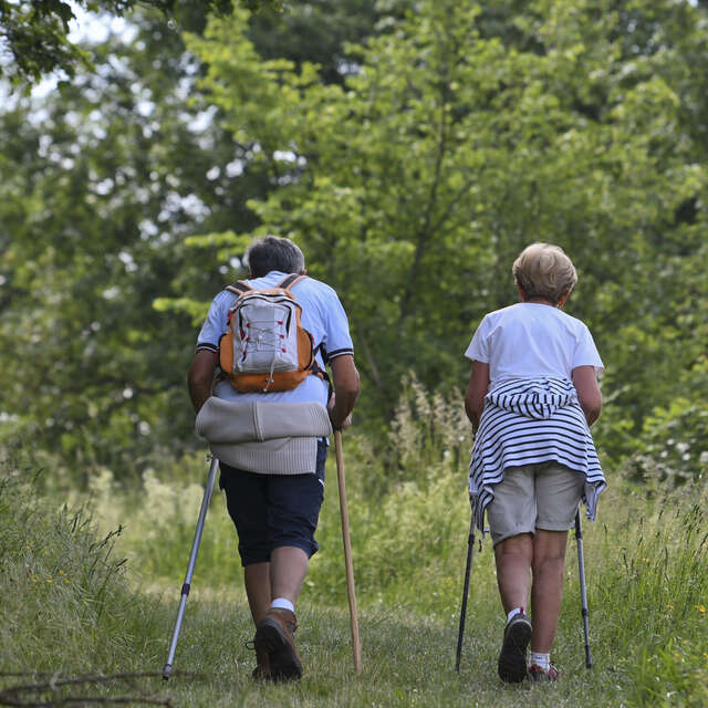 Le Chemin des soldats