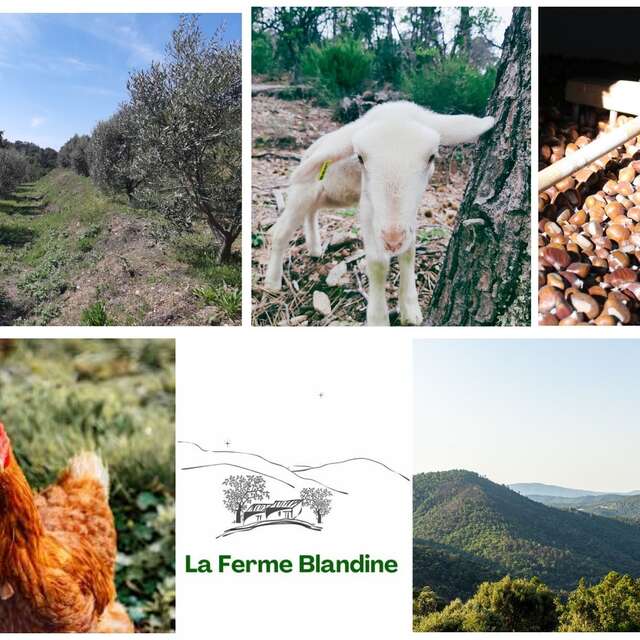 La Ferme Blandine