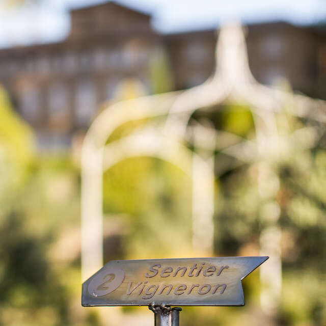 Path in the vineyards of Château Pesquié