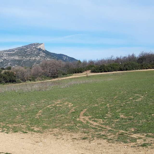 Le début de la fin