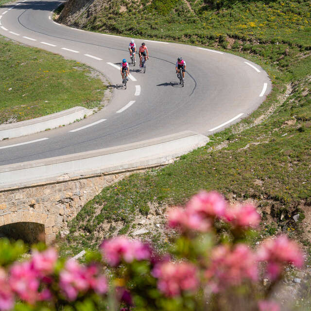 Cols Réservés - Col de l'Izoard