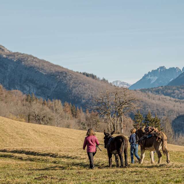 Verger de l'épine - Location d'ânes