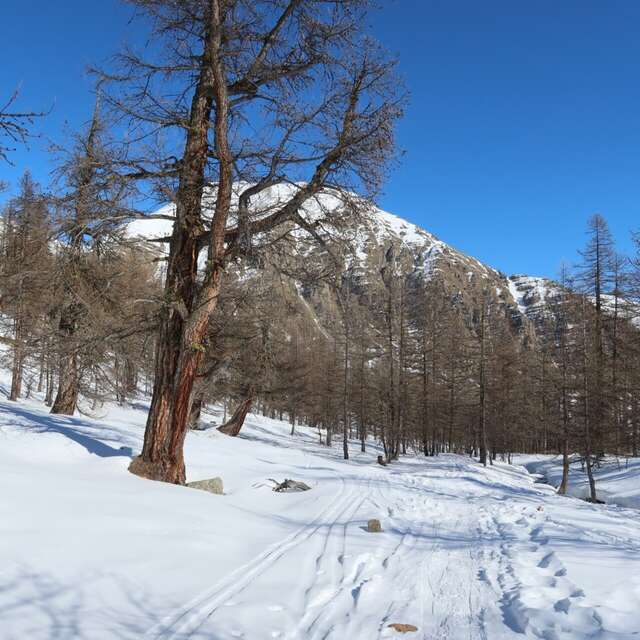 Louez vos raquettes !