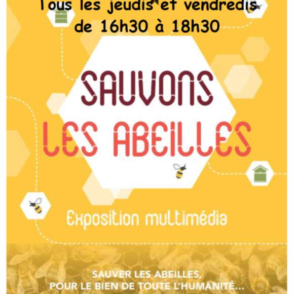 Save the bees exhibition