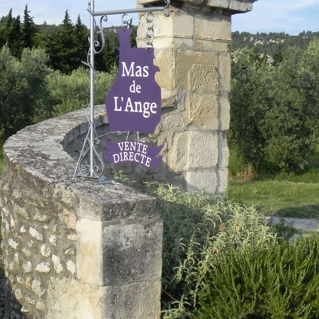 Mas de l'Ange