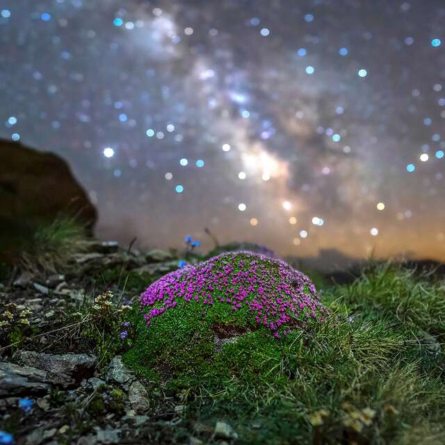Photographier la voie lactée