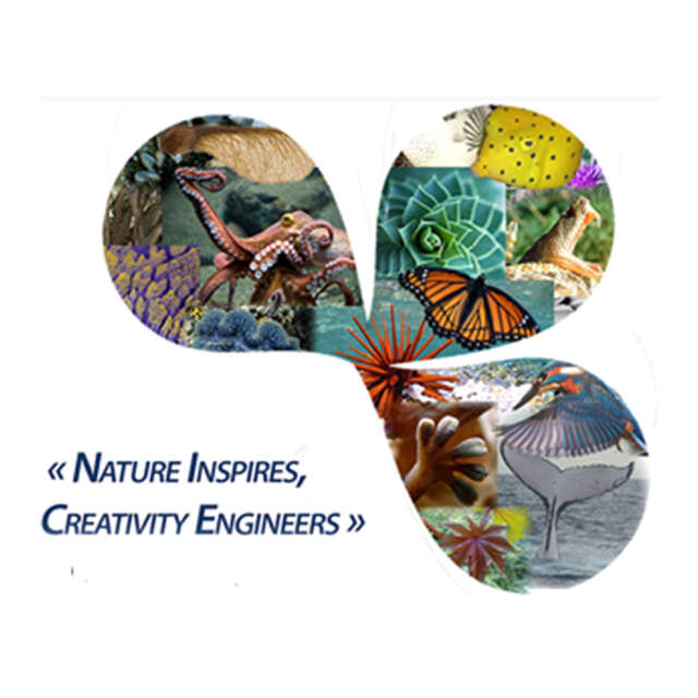 International Conference on Bioinspired and Biobased Chemistry & Materials – NICE WINTER 2023