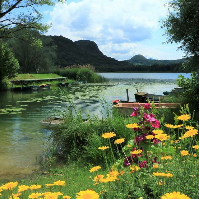 Hike : Lake and vineyards