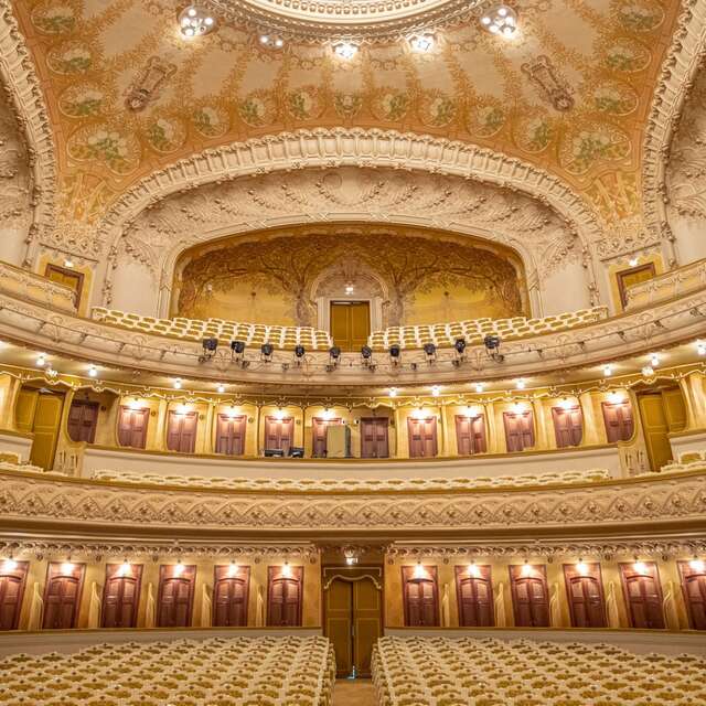 Visite guidée : "Salle de l'Opéra de Vichy"