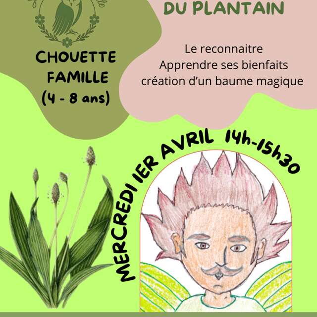 Atelier famille autour du plantain
