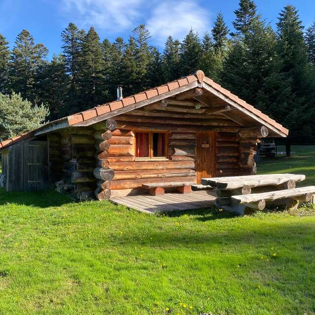 Fustes sous les étoiles