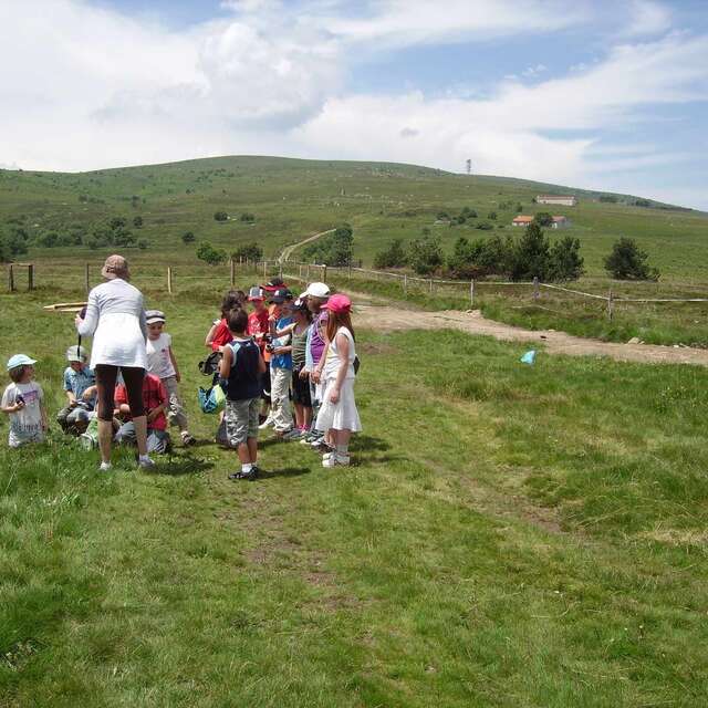 Les mercredis nature