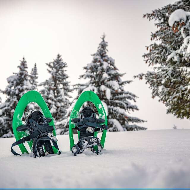 Itinéraire raquettes L'arête de l'évêque