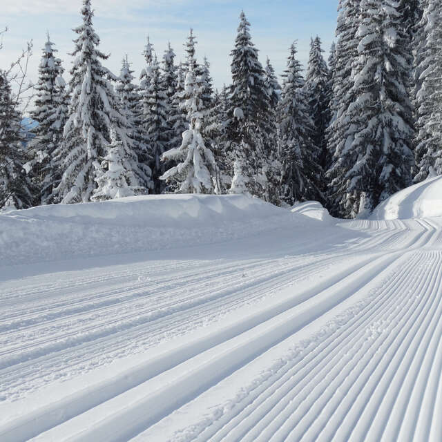 Le Bouchet raquettes hiver